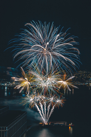 Celebration, night, fireworks, 240x320 wallpaper