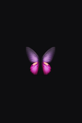 Samsung Galaxy Fold, pink-purple Butterfly, minimal, 240x320 wallpaper