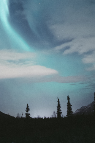 Nature, Northern Lights, night, sky, Alaska, 240x320 wallpaper