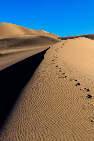 Desert, camel's footprint, sand, 240x320 wallpaper