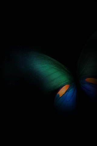 Samsung Galaxy Fold, butterfly, green-blue-black, 240x320 wallpaper