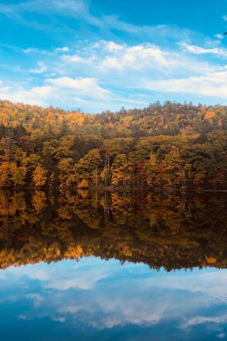 Fall, autumn, lake, trees, reflections, nature, 240x320 wallpaper