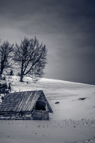 Landscape, cottage, winter, tree, 240x320 wallpaper