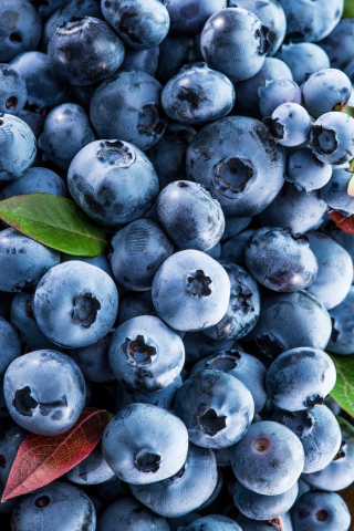 Berries, fruits, blueberries, 240x320 wallpaper