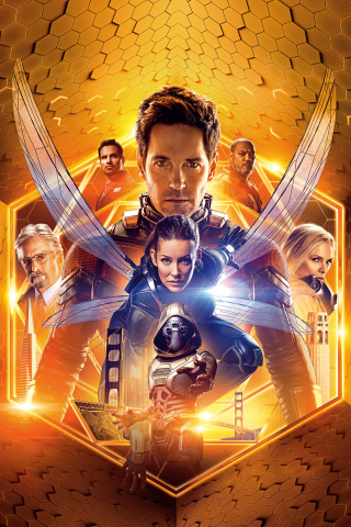Ant-man and The Wasp, movie, poster, 240x320 wallpaper