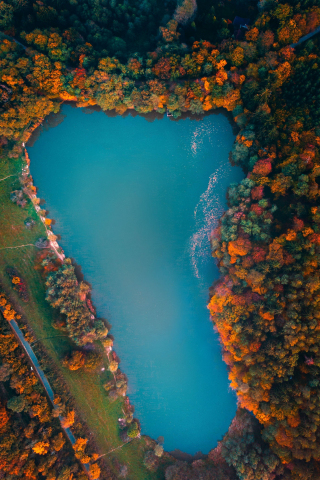Lake, trees, aerial view, colorful, autumn, 240x320 wallpaper