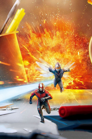 Ant-Man and The Wasp, movie poster, 2018, 240x320 wallpaper