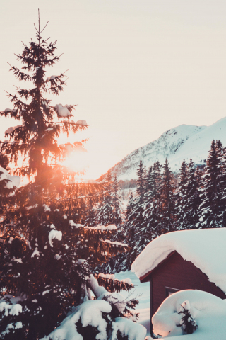 Cabin, winter, snowfall, tree and mountains, sunrise, 240x320 wallpaper