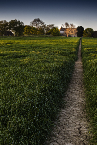 Farm Field Nature 4K Wallpapers - Top Free Farm Field Nature 4K Backgrounds  - WallpaperAccess