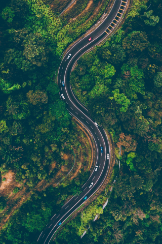 Road, highway, nature, trees, aerial view, 240x320 wallpaper