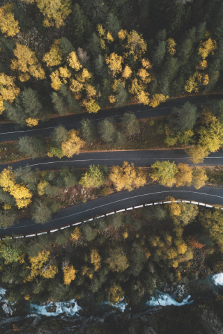 Curves, turns, highway, aerial view, green trees, nature, 240x320 wallpaper