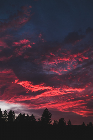 Colorful, clouds, sunset, dark, tree, 240x320 wallpaper