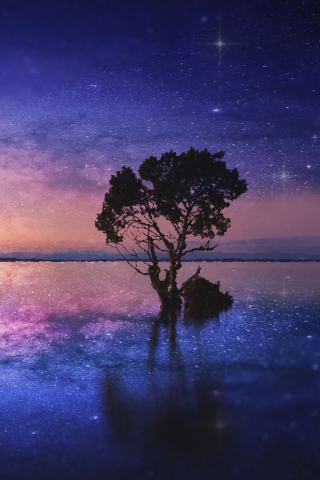 Download wallpaper 240x320 silhouette, tree, lake, starry night, old ...