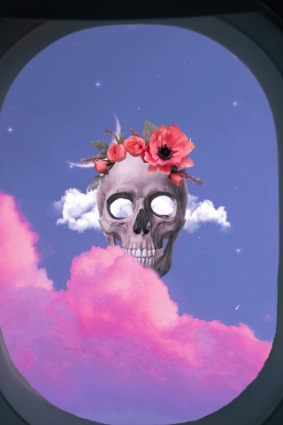 Skull from flight window, art, 240x320 wallpaper