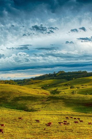 Hills, landscape, clouds, sky, Byron Bay, Australia, 240x320 wallpaper
