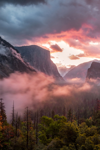 Misty Yosemite Valley, National Park, Fog, Mountains, 240x320 wallpaper