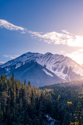 Banff National Park, mountains, forest, trees, sunlight, Canada, 240x320 wallpaper