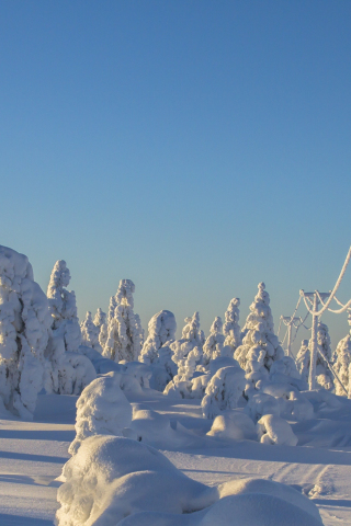 Winter, clean sky, trees, island, landscape, electric towers, snowfall, 240x320 wallpaper