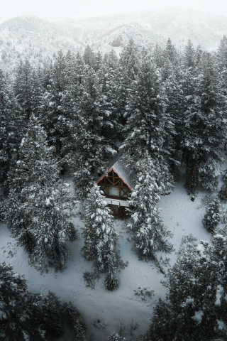 Hut in forest, drone shot, winter, 240x320 wallpaper
