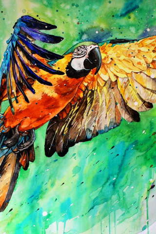 Macaw, parrot, art, 240x320 wallpaper
