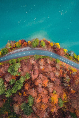 Curve of highway, autumn, nature, aerial view, 240x320 wallpaper