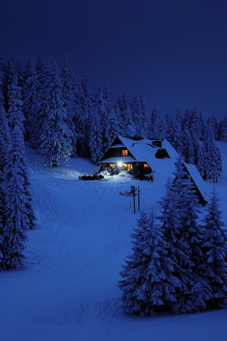 House, night, winter, trees, snow layer, nature, 240x320 wallpaper