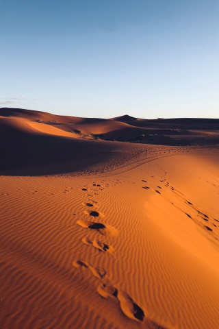 Morocco, marks, dunes, desert, sand, 240x320 wallpaper