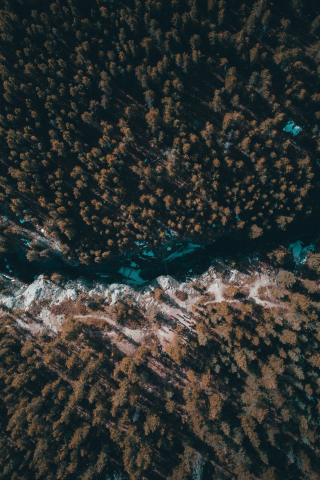 River, nature, forest, dense, aerial view, 240x320 wallpaper