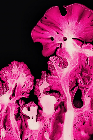 Pink coral, ink art, pattern, macro, 240x320 wallpaper