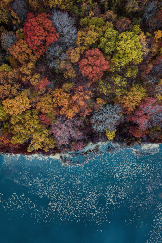 Autumn, lake, trees, colorful, aerial view, 240x320 wallpaper