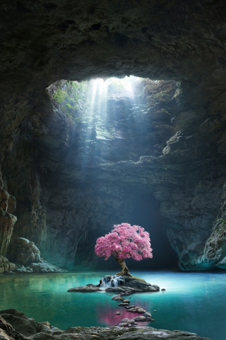 Pink tree, blossom, cave, lake, nature, 240x320 wallpaper