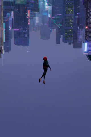 Spider-Man: Into the Spider-Verse, 2018 movie, animated movie, 240x320 wallpaper