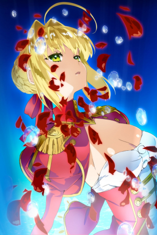 Nero claudius, red saber, Fate/Grand Order, hot anime girl, 240x320 wallpaper