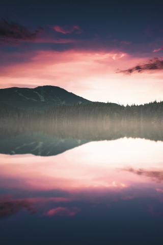 Nature, sunset, lake, tree, skyline, reflections, 240x320 wallpaper