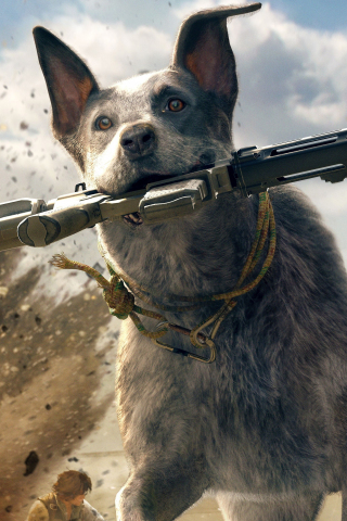 Dog, Run, Far Cry 5, video game, 240x320 wallpaper