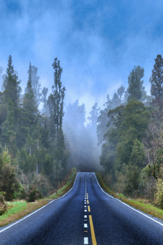Lone highway, going through wood, nature, 240x320 wallpaper