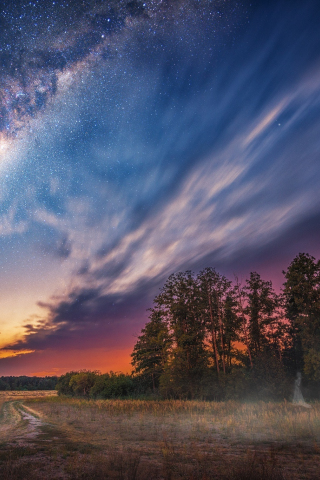 Milky way, clouds, night, sky, landscape, tree, stars, 240x320 wallpaper