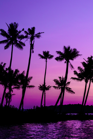 Purple sky, palm trees, lake, 240x320 wallpaper