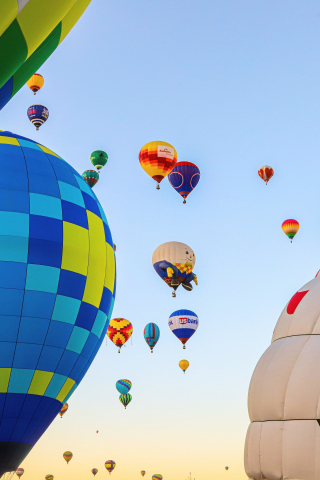 Adventure, festival, sky, hot air balloons, flight, 240x320 wallpaper