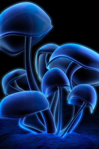 Fluorescence, glowing mushroom, dark, art, 240x320 wallpaper
