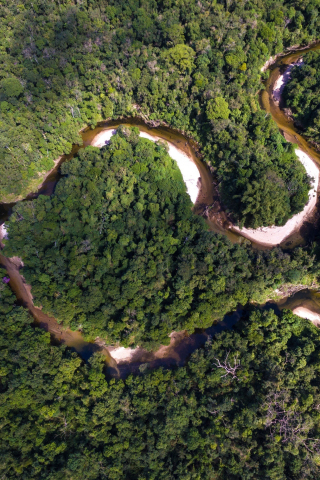 River, forest, nature, aerial view, trees, 240x320 wallpaper