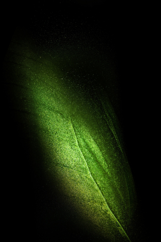 Samsung Galaxy Fold, leaf, green, 240x320 wallpaper