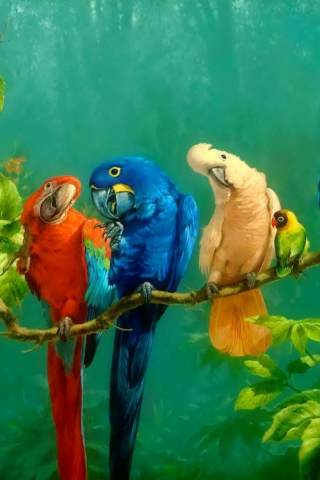 Parrot, birds, art, colorful, 240x320 wallpaper