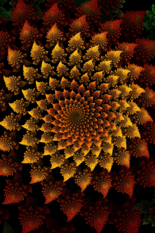Fractal, golden pattern, spiral, 240x320 wallpaper