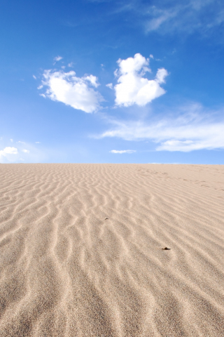 Desert, sand, sunny day, horizon, 240x320 wallpaper