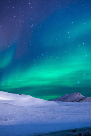 Aurora, green sky, northern light, glacier, 240x320 wallpaper