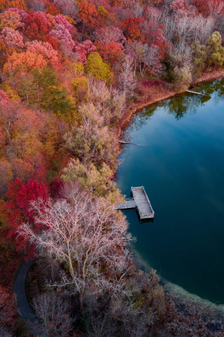 Lake, autumn, nature, aerial view, 240x320 wallpaper