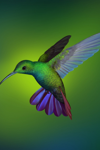 Hummingbird, blur, art, flight, 240x320 wallpaper