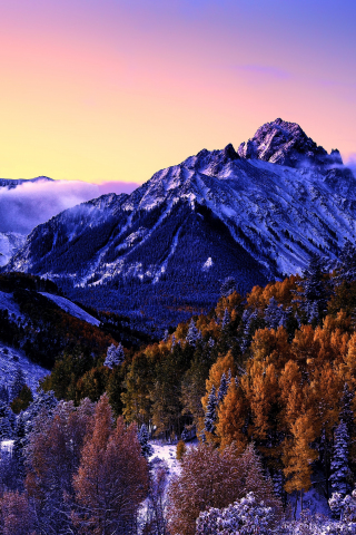 Mount Sneffels, Colorado, forest, trees, purple sky, 240x320 wallpaper