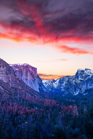 Mountains, forest, twilight, Yosemite Valley, 240x320 wallpaper
